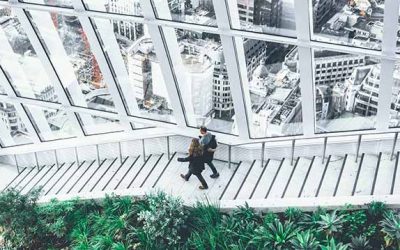 Immobilier Neuf : Les Innovations Peuvent-elles Sauver les Bureaux de Vente?